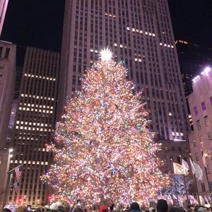 Meet your Posher, Abbey